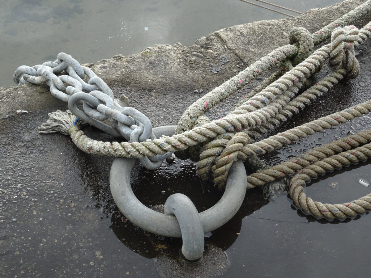 Vérifier mon affiliation à l’ENIM : une étape essentielle quand on débute en mer OU Suis-je affilié à l’ENIM ?